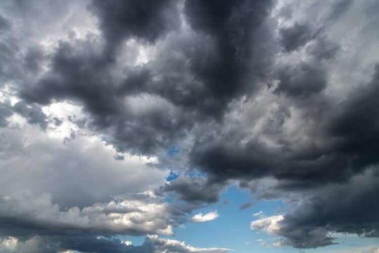 Image: Merrillie/stock.adobe.com  