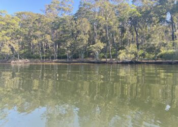 St Georges Basin in Shoalhaven. Image: Shoalhaven City Council.  