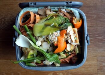 Container of domestic food waste.