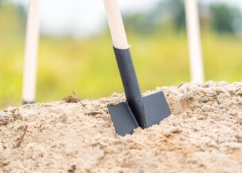 Image: Studio Wilkos/stock.adobe.com