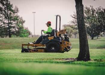 Councils rethink mowing as turf demands rise