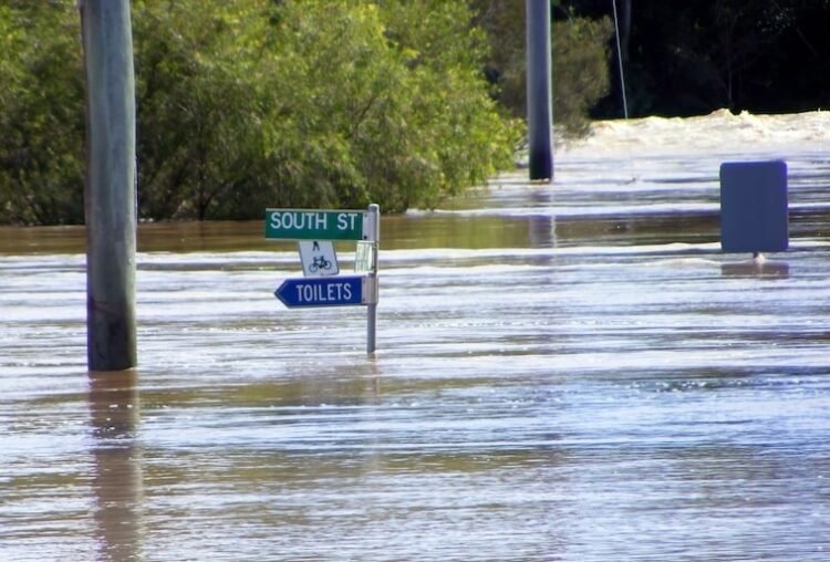 Disaster Relief Australia in liquidation