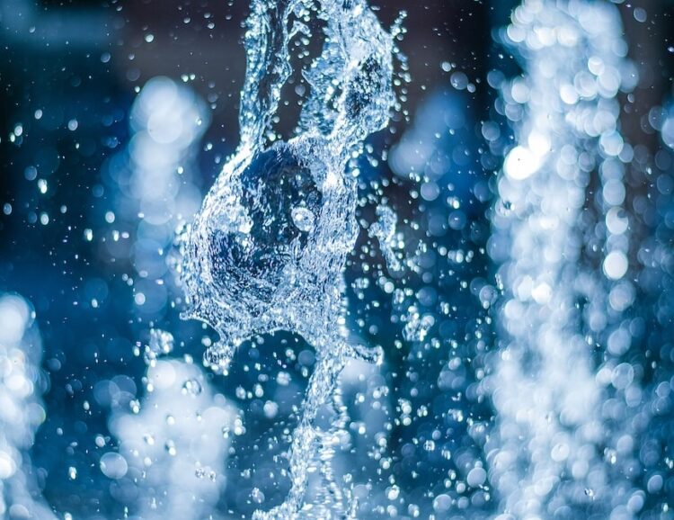 WIOA prepares for 2026 water conference