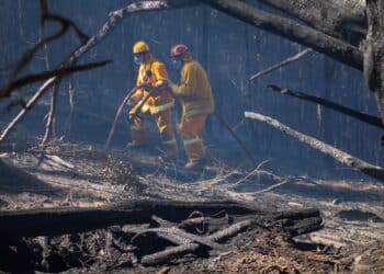 Bushfire recovery grants open