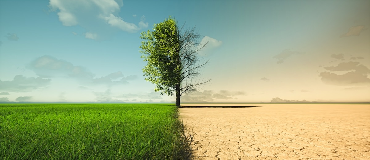 Expressions of interest open for Climate Change Council
