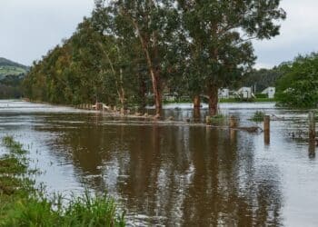 improve flood resilience restore waterway health