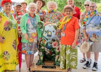 Seniors Festival grants open
