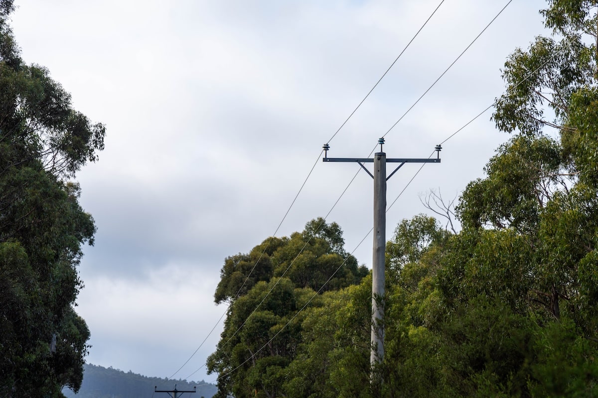 LGA gains seat on vegetation management group